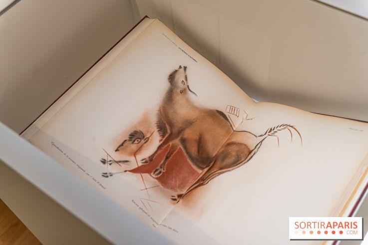 Picasso et la Préhistoire, les photos de l'exposition au Musée de l'Homme