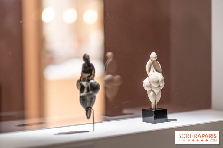 Picasso et la Préhistoire, les photos de l'exposition au Musée de l'Homme