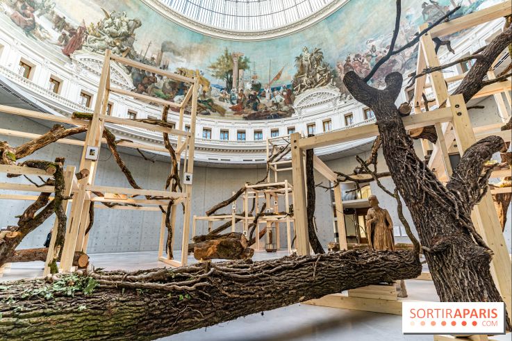 Exposition Avant l'orage à la Bourse de Commerce - Pinault Collection - urgence climatique