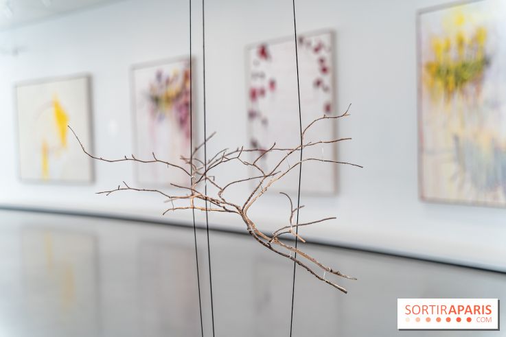 Exposition Avant l'orage à la Bourse de Commerce - Pinault Collection - urgence climatique