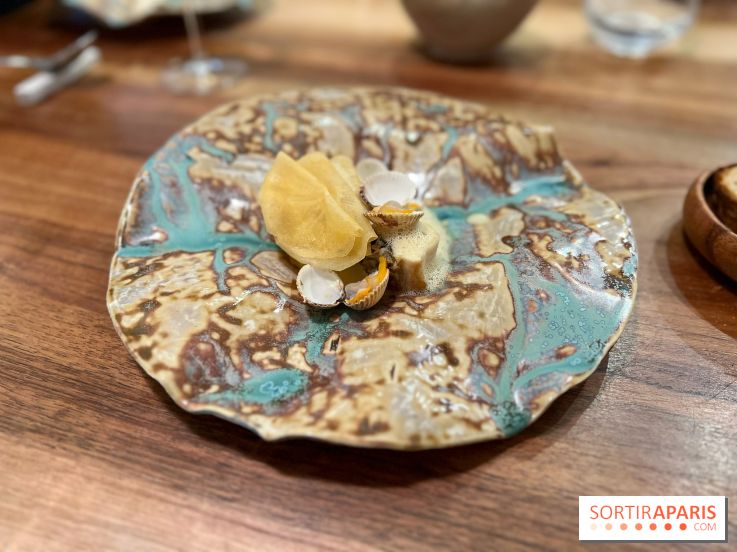 Accents Table Bourse - Bar et coques