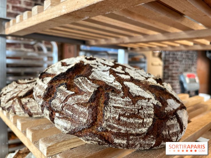 Atelier P1 - pain au levain