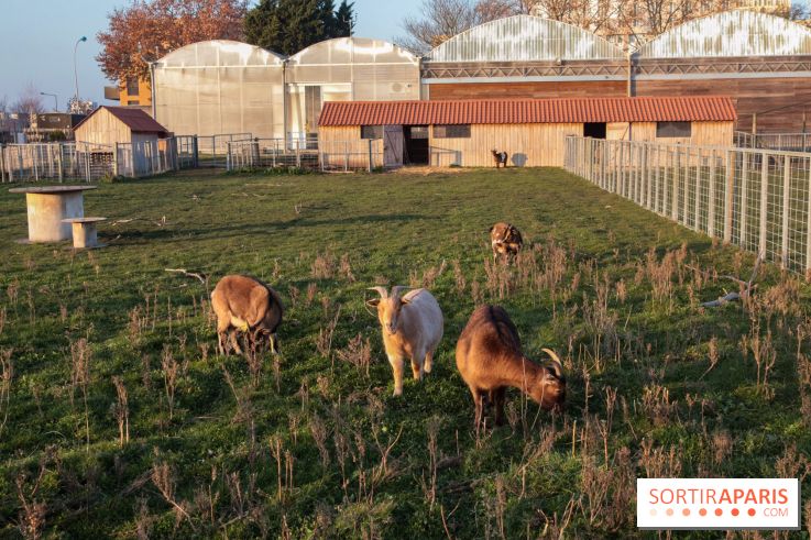 Fermes de Gally - Saint Denis - 121E8A17 ECDB 4F1B 90A8 CF8CA8E2C832