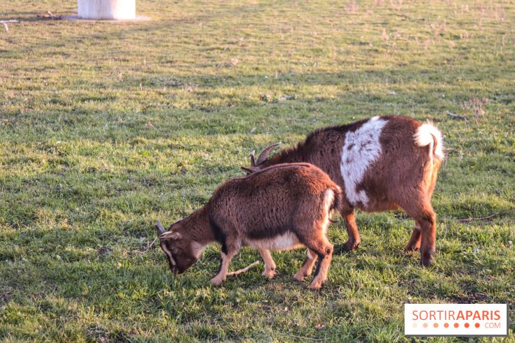 Fermes de Gally - Saint Denis - F4A6D9E0 2845 45F1 A095 C1A59C998B49