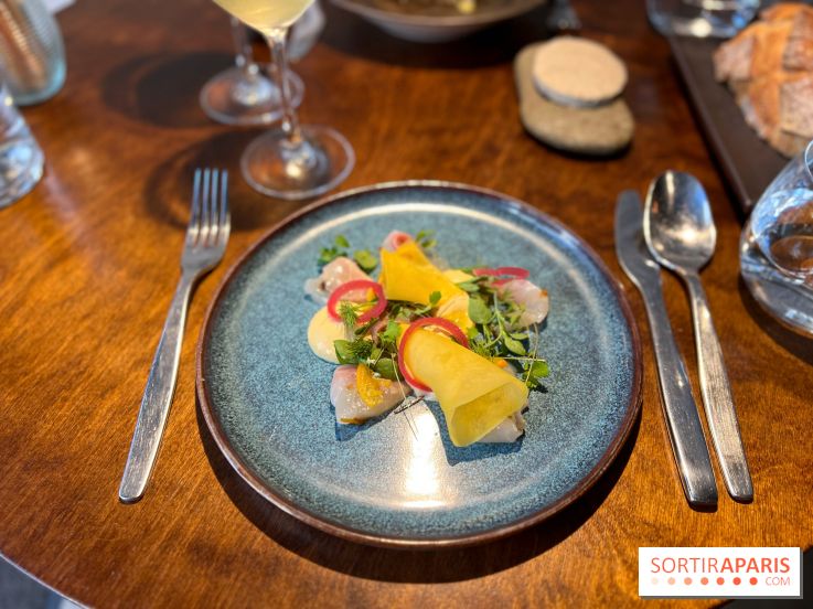 Perception - Sashimi daurade et tarama