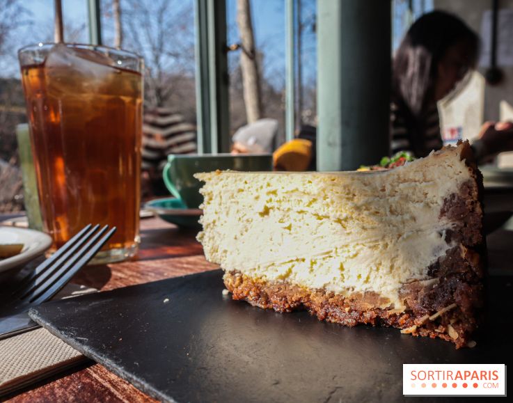 Treize au jardin - 20230302144507 IMG 4046