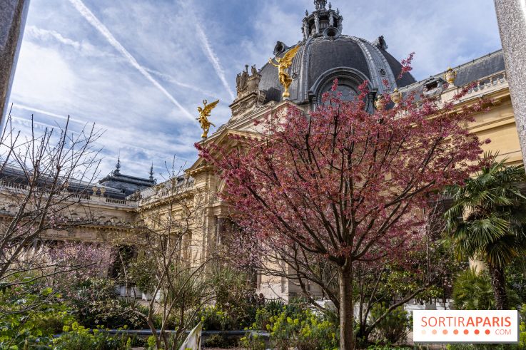 Petit Palais - Collection permanente  -  jardin