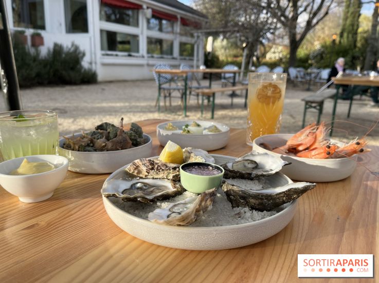 Le Chalet des Îles Daumesnil - le concept du Perchoir