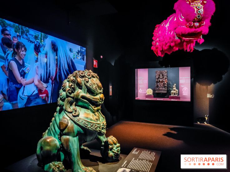 Félins, l'exposition qui nous fait craquer au Muséum national d'Histoire naturelle - photos - IMG20230321103938