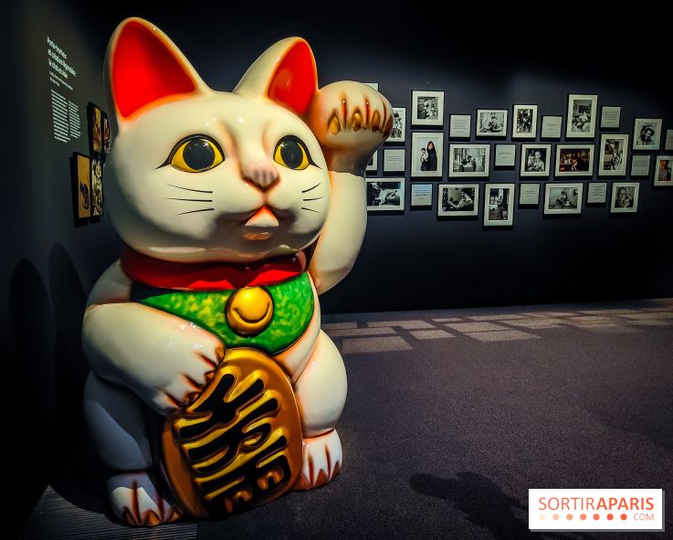 Félins, l'exposition qui nous fait craquer au Muséum national d'Histoire naturelle - photos - IMG20230321110439