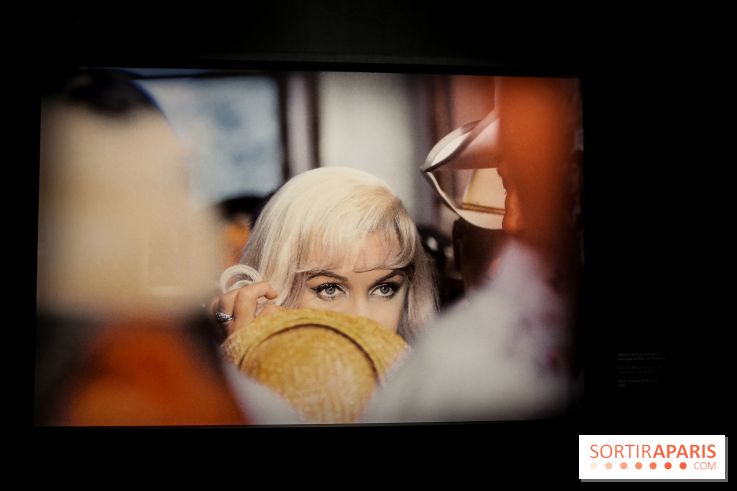 Elliott Erwitt, l'expo au Musée Maillol, nos photos - IMG 8908