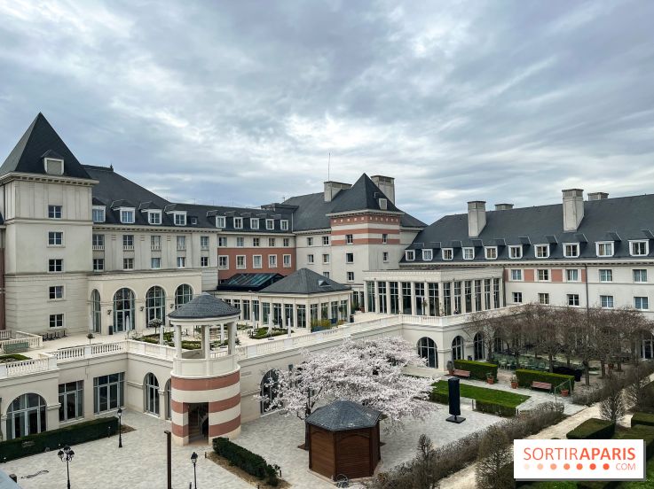 Dream Castle Hôtel, le 4**** familial à côté de Disneyland - 5346E49D 7A5D 4F5D 88B8 0BDA690743A4