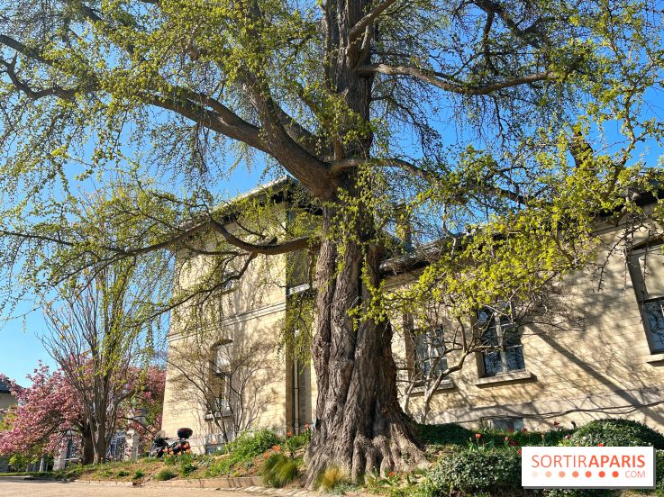 Le Jardin des Serres d'Auteuil - IMG 1492