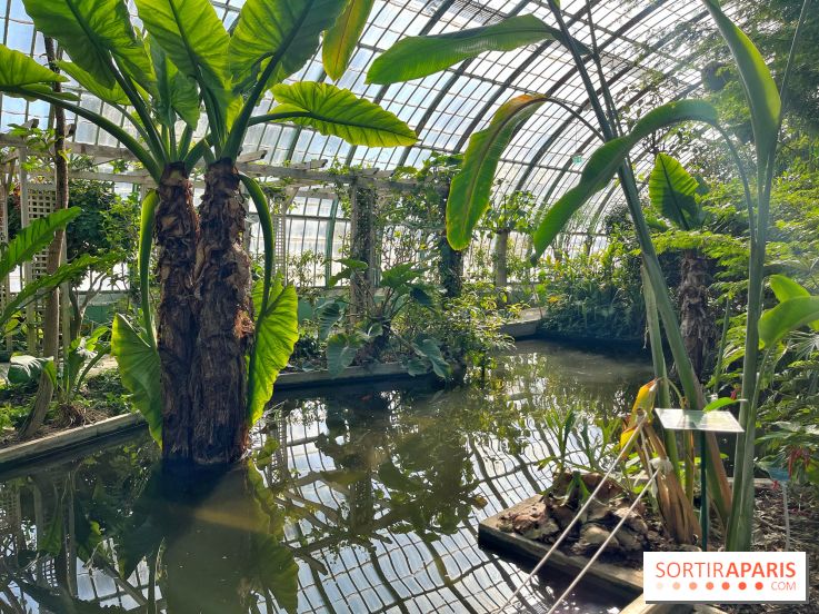 Le Jardin des Serres d'Auteuil