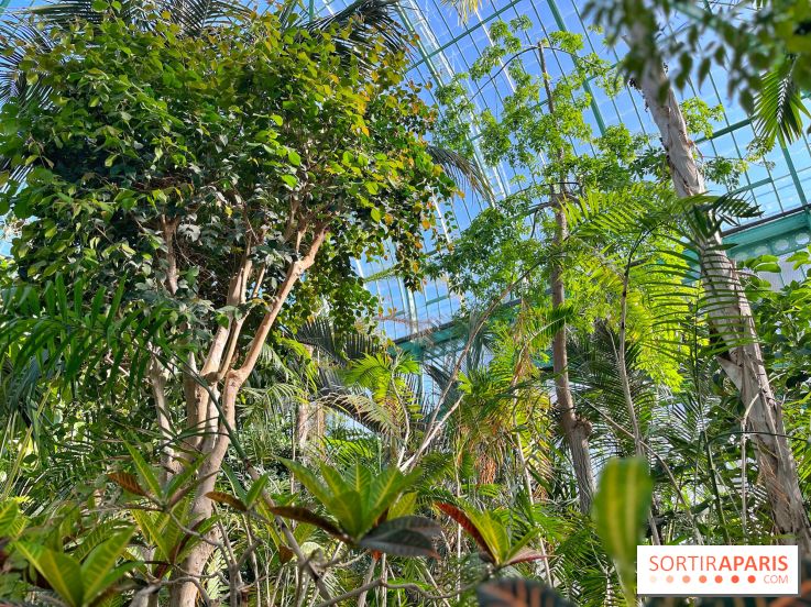 Le Jardin des Serres d'Auteuil - IMG 1552