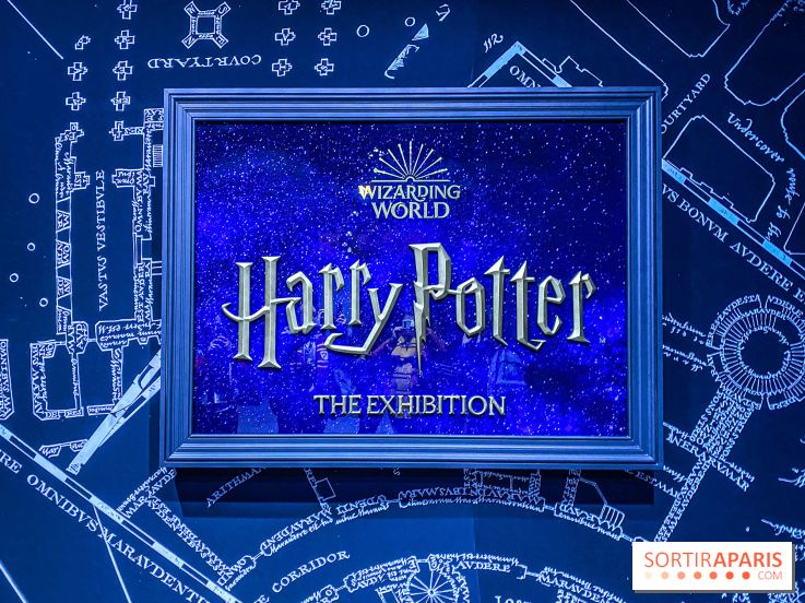 Harry Potter: Collezione Bambina (6 - 14 anni) 2024