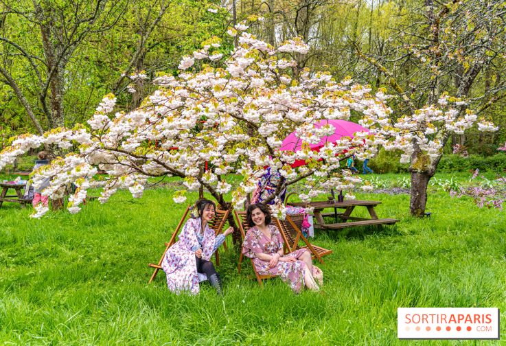 Le Moulin jaune - Hanami 2023