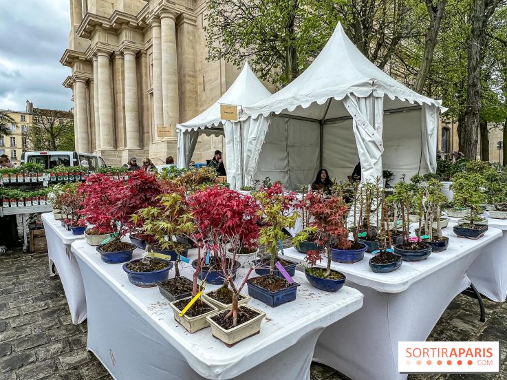 Esprit Jardin à Versailles - Marché aux plantes et animations
