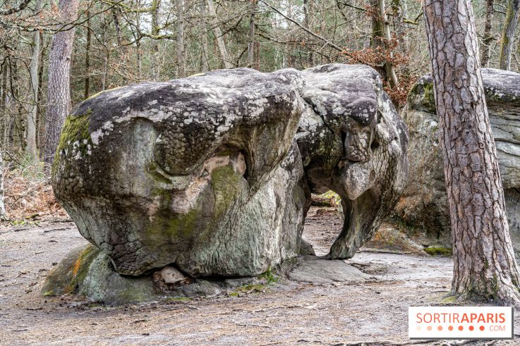 Barbizon, le village entre art et nature