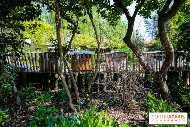 L'île de la Jatte, nos photos - IMG 9711