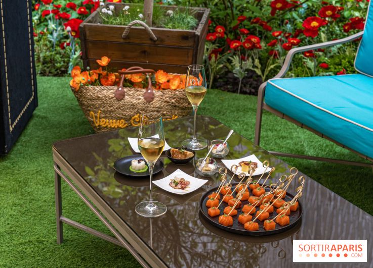 La terrasse cachée du Joy à l'Hôtel Fouquet's 2023 : le jardin de coquelicots - A7C2762