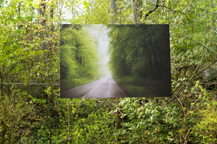 Réparties : l’exposition en plein air au domaine national de Saint-Cloud