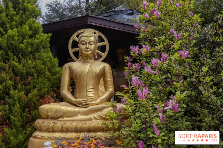 Wat Thammapatip Inrernational : la pagode bouddhiste et sa street food thaï, à Moissy-Cramayel - 8A0BB601 A591 4155 9363 62CE76412A10