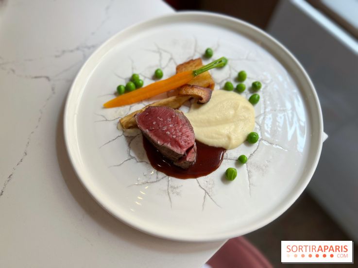 Akabeko - Bœuf charolais