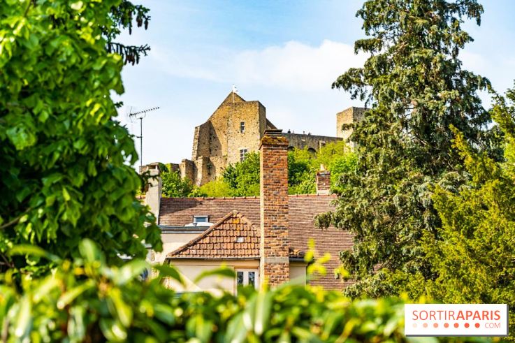 Le Château de la Madeleine à Chevreuse