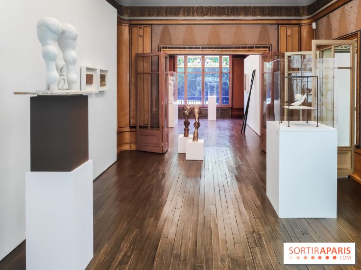 Exposition ASensitiv de Warren à l'Institut Giacometti - nos photos - IMG 20230515 114017