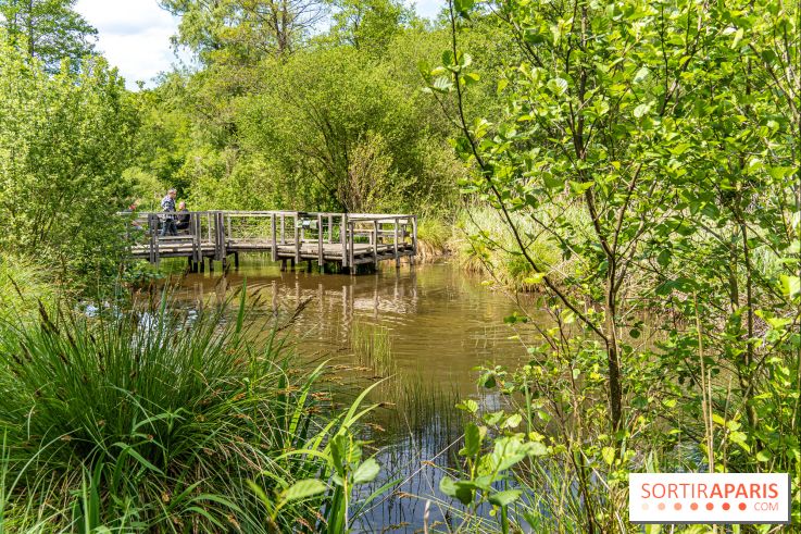 Sentier découverte de Maincourt - Vallée de Chevreuse - A7C4081