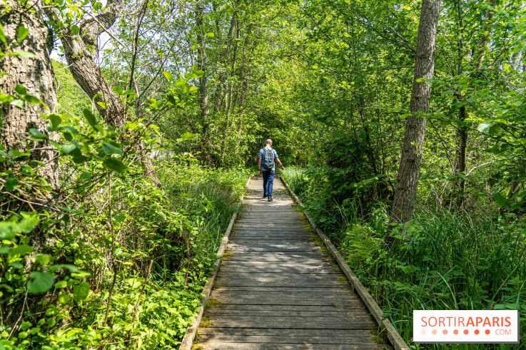Sentier découverte de Maincourt - Vallée de Chevreuse - A7C4083