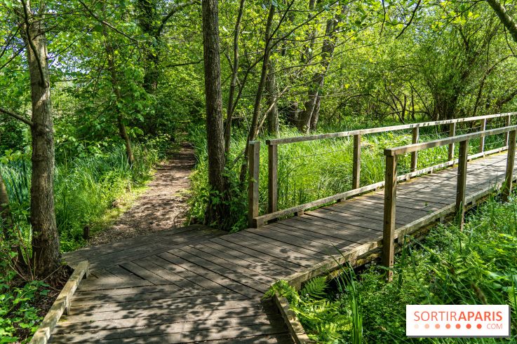 Sentier découverte de Maincourt - Vallée de Chevreuse - A7C4086