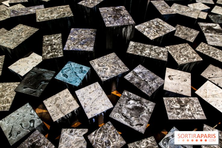 Carte blanche à Park Dong Soo au musée Guimet, nos photos - IMG 0104