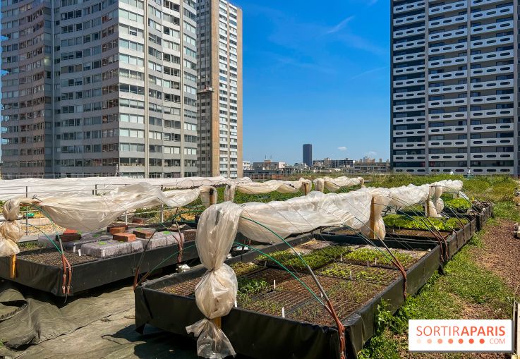 Les toits de Beaugrenelle - image00006