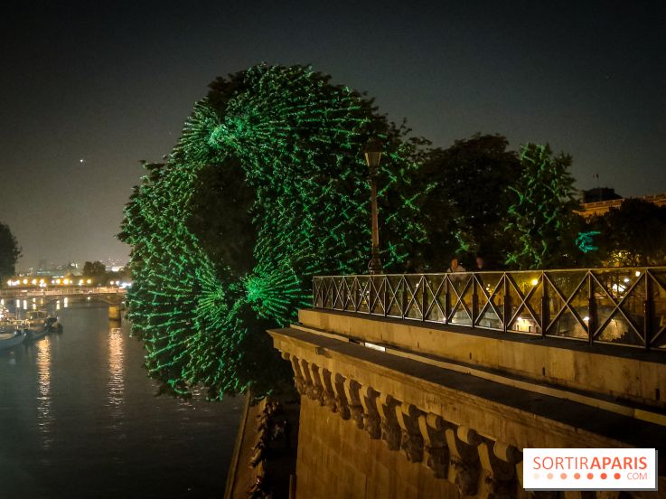 Nuit Blanche 2023 : des projections lumineuses magiques au Square du Vert Galant de l'Île de la Cité