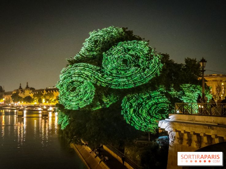 Nuit Blanche 2023 : des projections lumineuses magiques au Square du Vert Galant de l'Île de la Cité