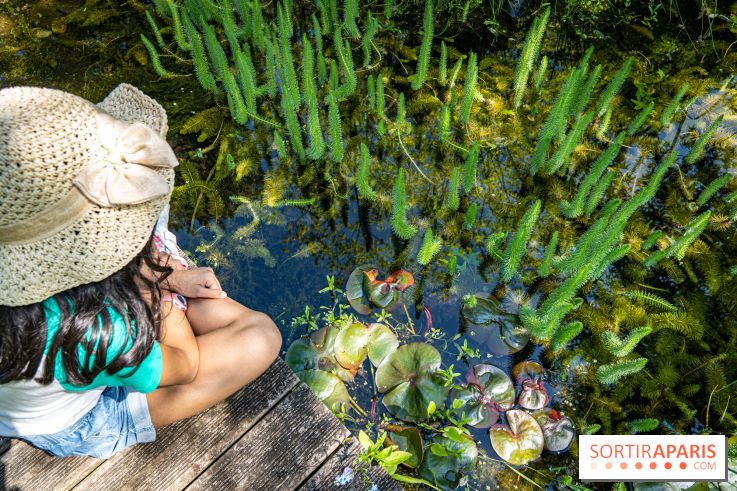 Sonja's Gardens in Perray-en-Yvelines - A7C5001