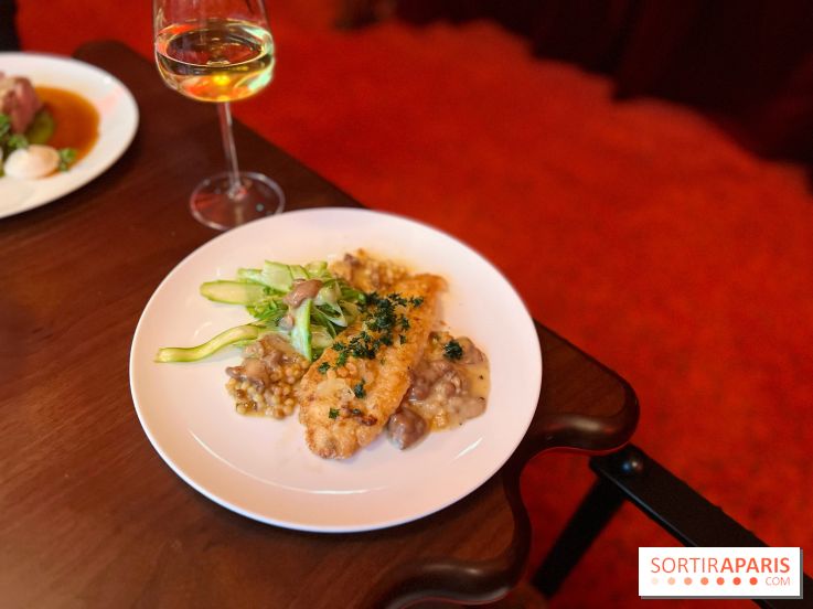 Mistinguett - Filet de Saint-Pierre