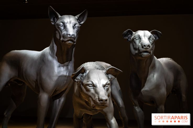 Exposition Ron Mueck à la Fondation Cartier 2023 - A7C6437