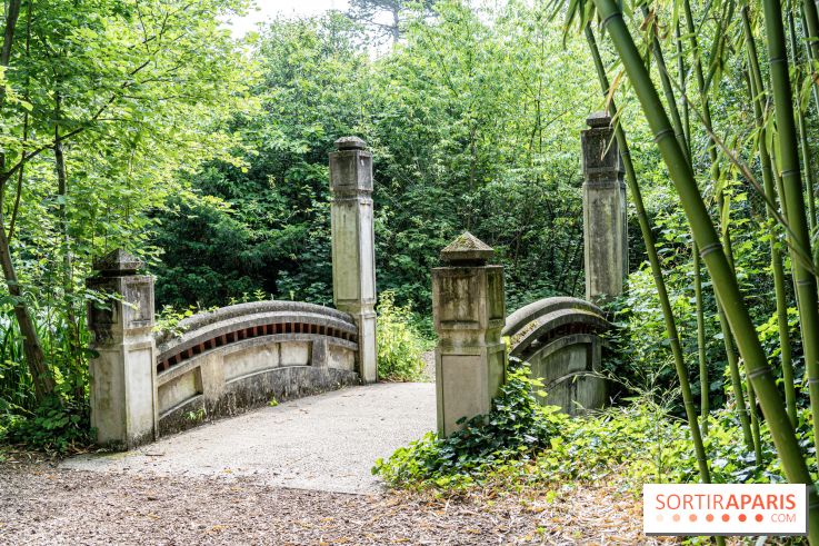 Jardin d'Agronomie Tropicale, le jardin exotique à Paris -  A7C6823