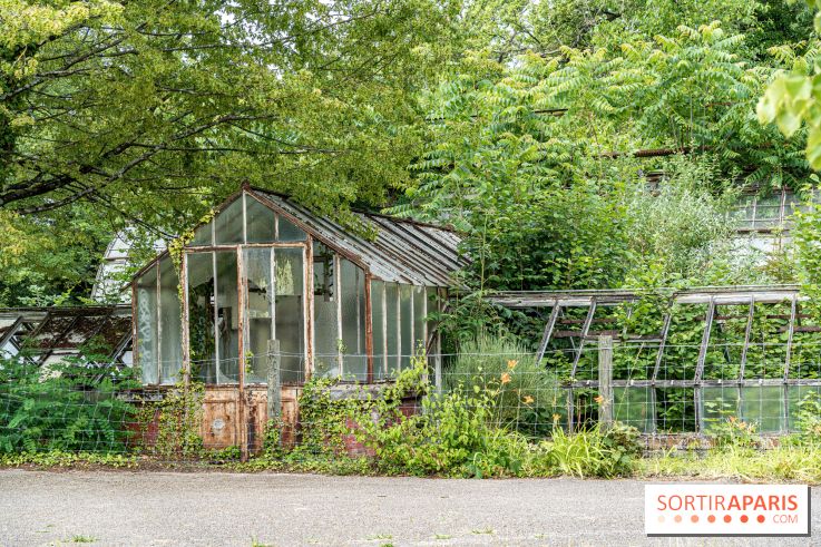 Jardin d'Agronomie Tropicale, le jardin exotique à Paris