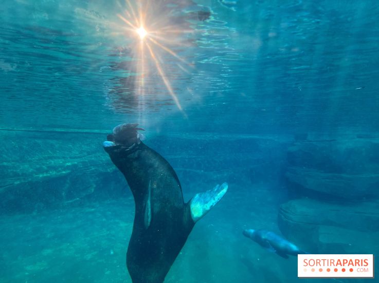 Nocturnes au Parc Zoologique de Paris - IMG 3469