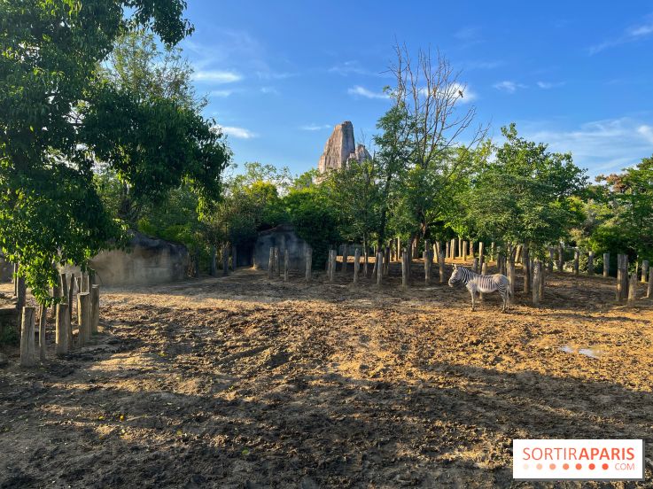 Nocturnes au Parc Zoologique de Paris - IMG 3495