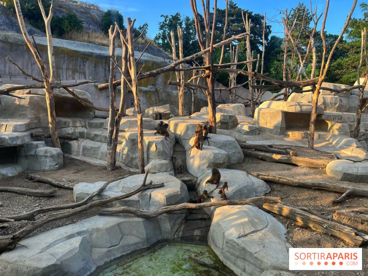 Nocturnes au Parc Zoologique de Paris - IMG 3517