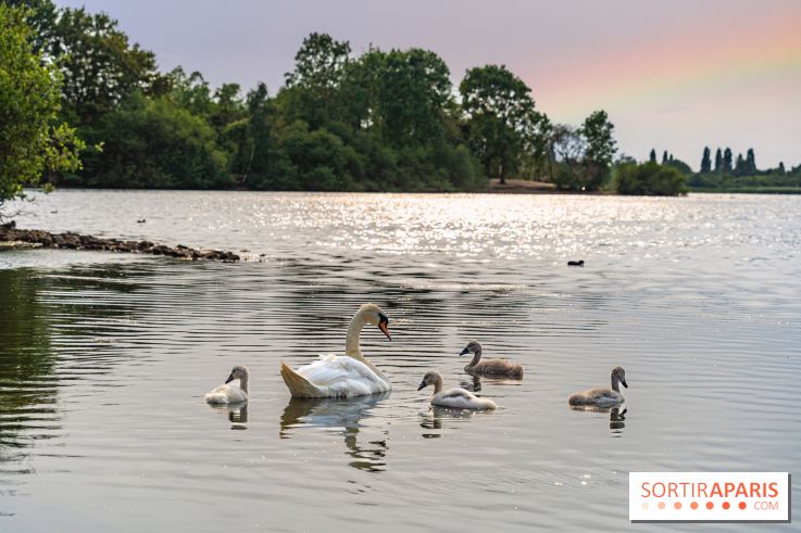 Base de loisirs de Saint-Quentin-en-Yvelines - Ile de loisirs de Trappes - activités - 295A94D4 9EFB 4FD4 9F1C 55C2E2224F4E