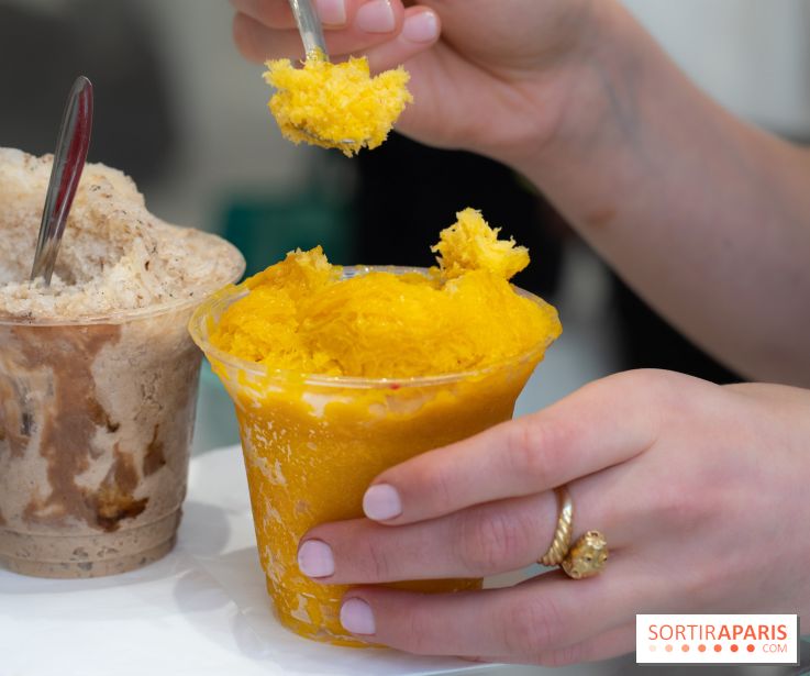 Granités-Neige de Jade Génin, l'Été Sous le Signe du Kakigori Réinventé - A7C7575