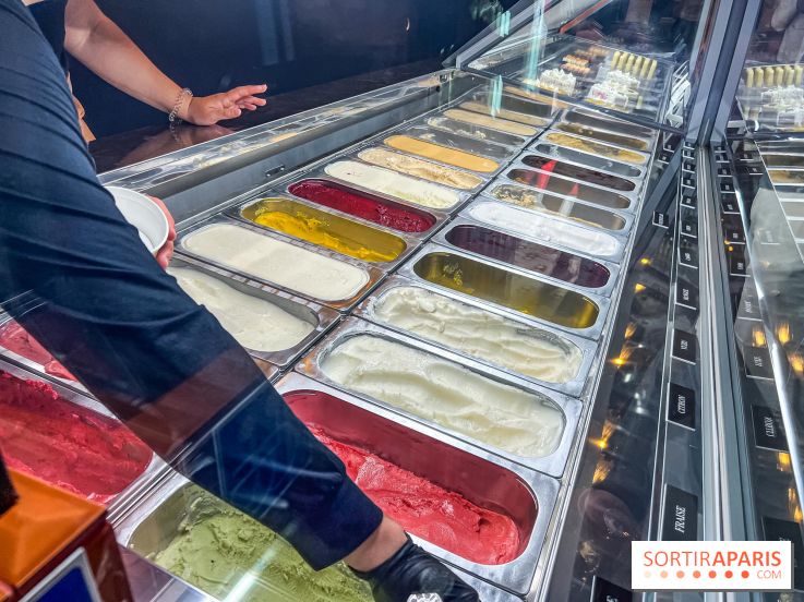 Le glacier Gérard Taurin à Paris - Meilleur Ouvrier de France - IMG 8725