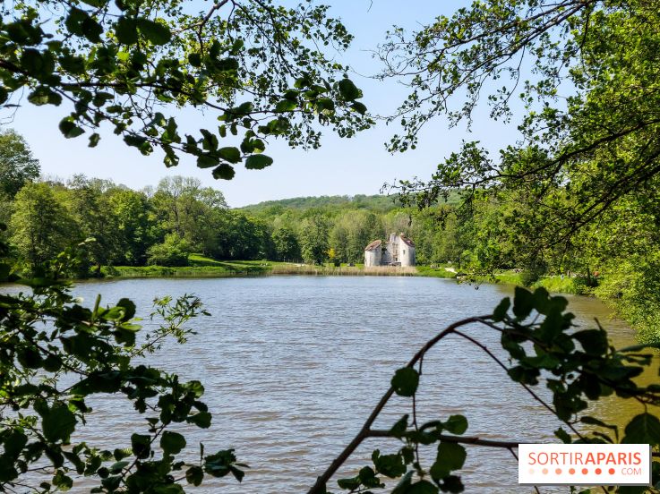 Balade nature dans la forêt de Montmorency, nos photos