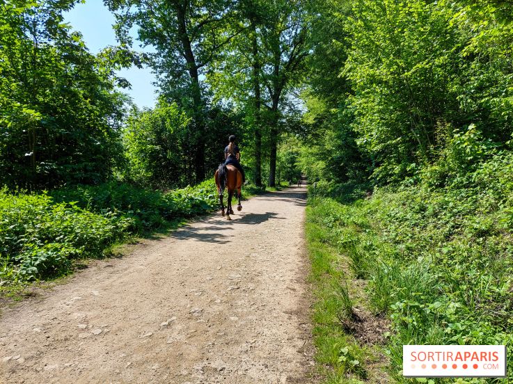 Balade nature dans la forêt de Montmorency, nos photos